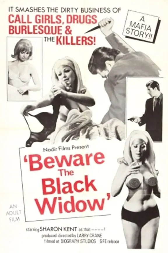 Beware the Black Widow_peliplat