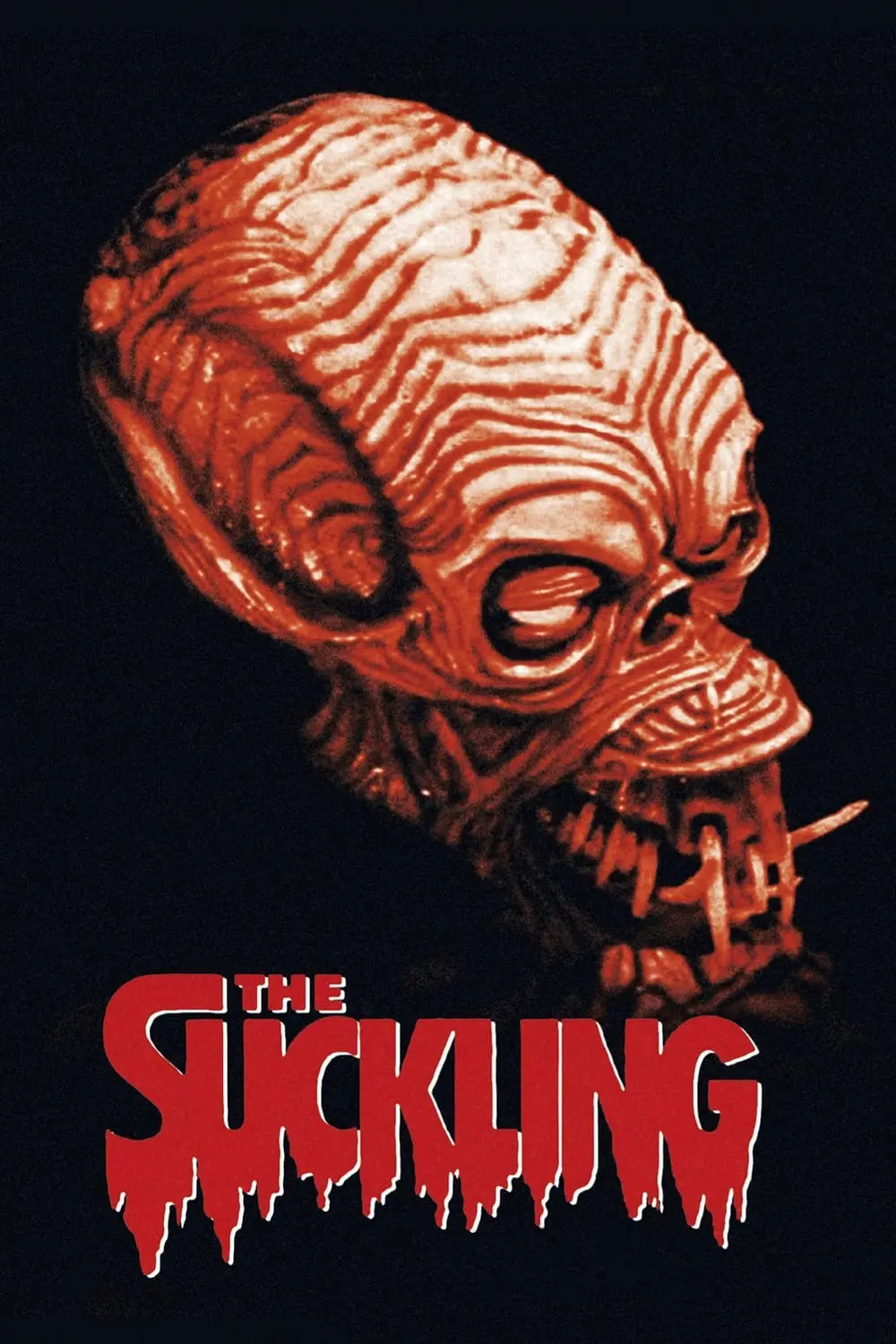 The Suckling_peliplat