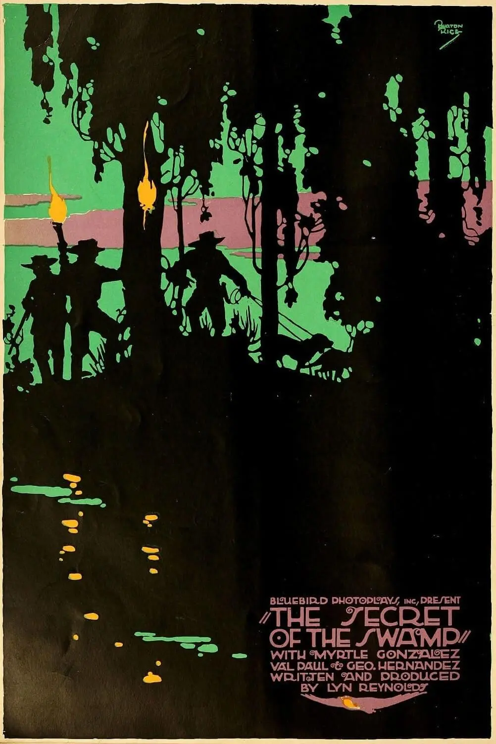 The Secret of the Swamp_peliplat