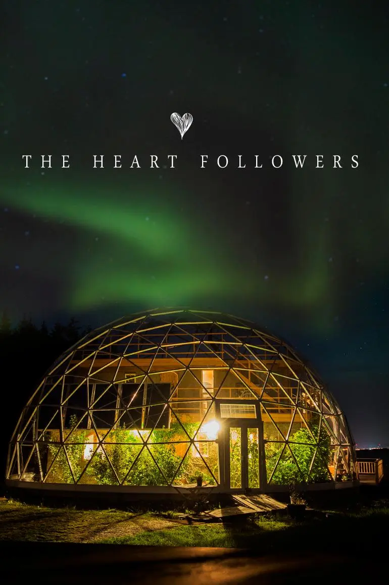 The Heart Followers_peliplat