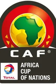 2008 Africa Cup of Nations_peliplat