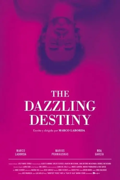The Dazzling Destiny_peliplat