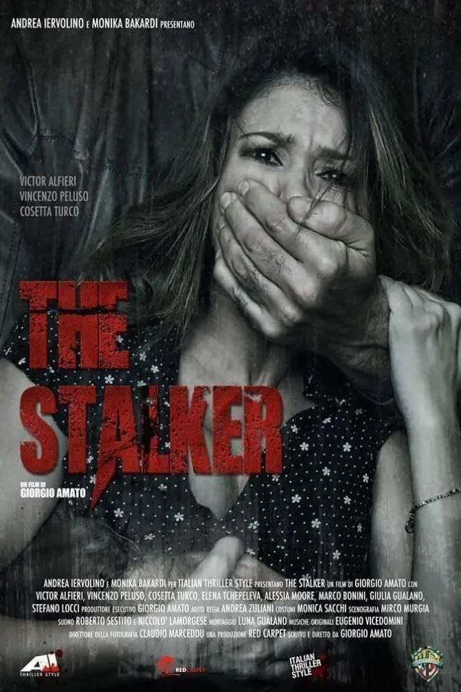 The Stalker_peliplat