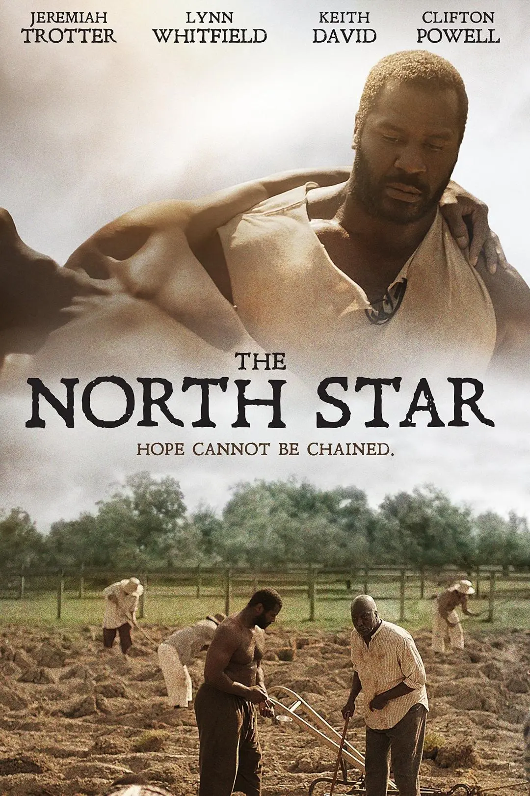 The North Star_peliplat