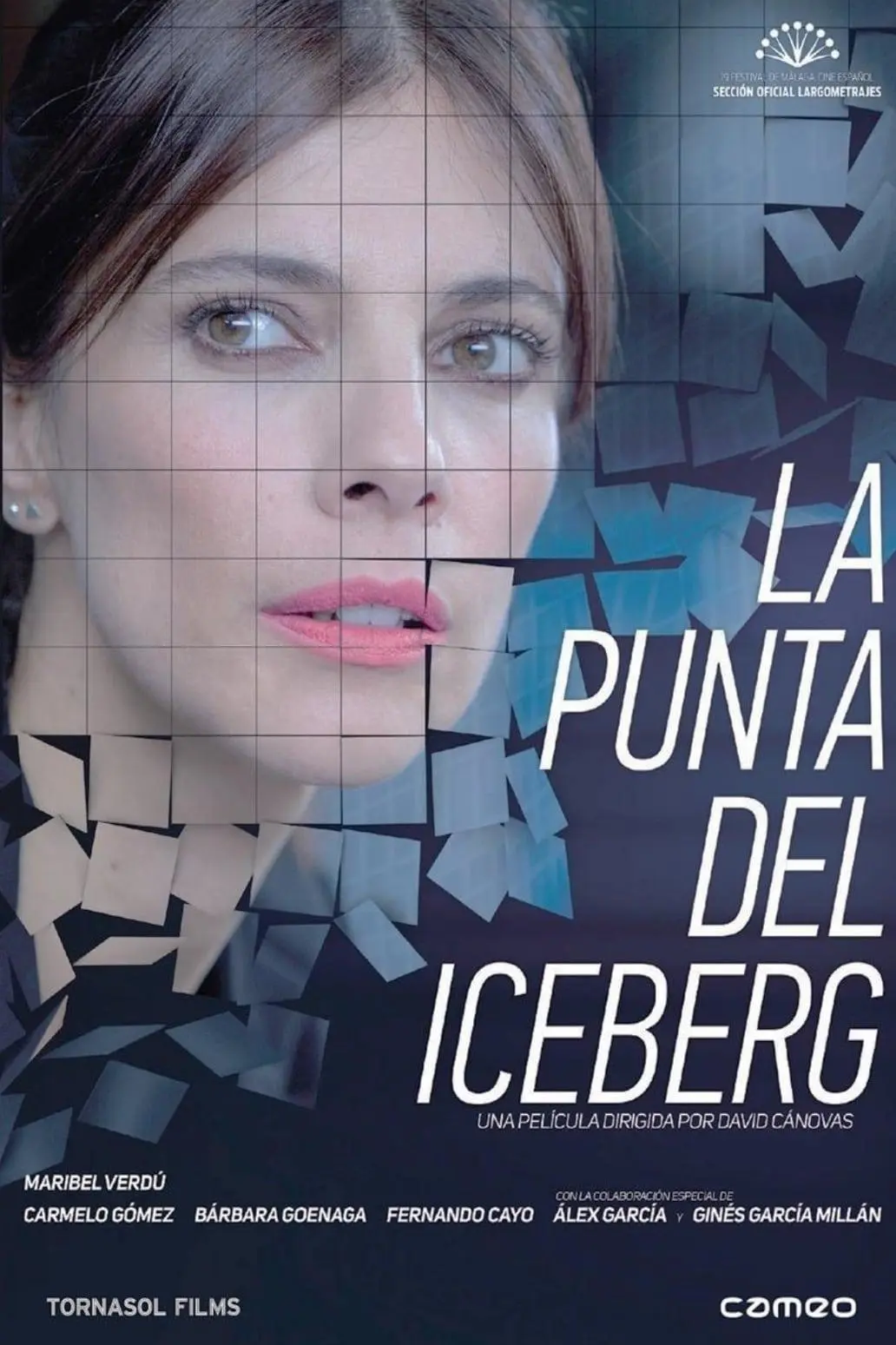 La punta del iceberg_peliplat