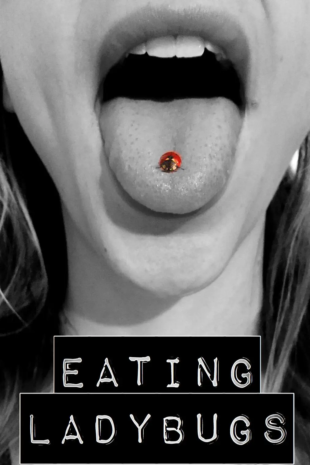 Eating Ladybugs_peliplat
