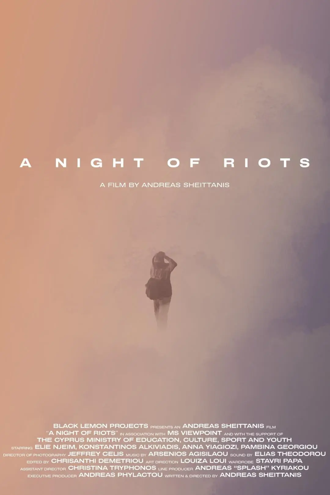 A Night of Riots_peliplat