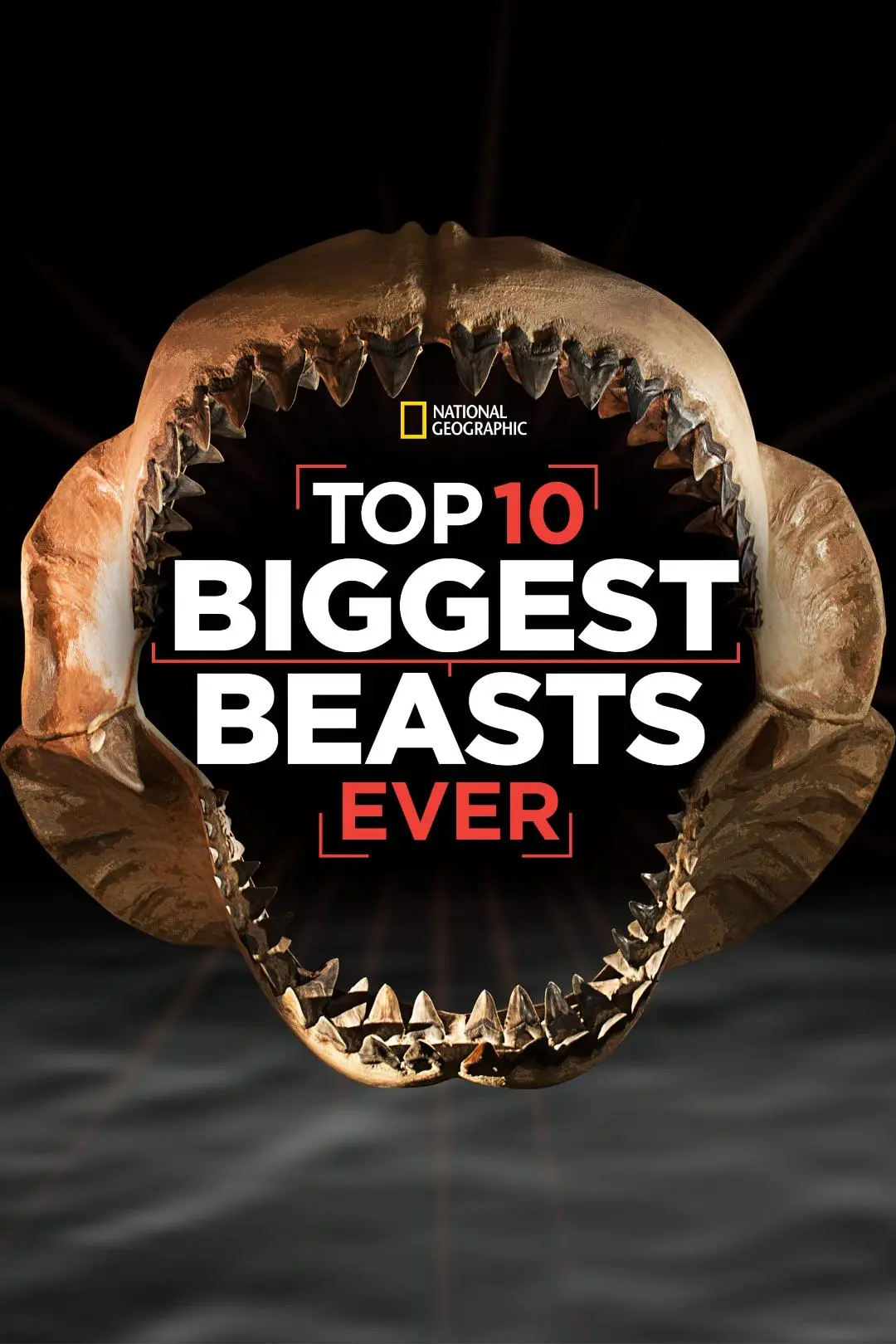 Top 10 Biggest Beasts Ever_peliplat