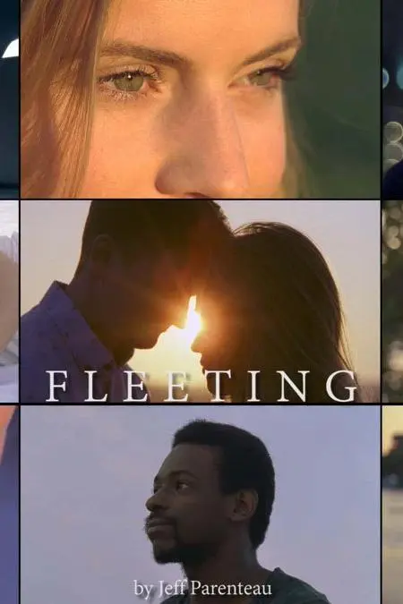 Fleeting_peliplat