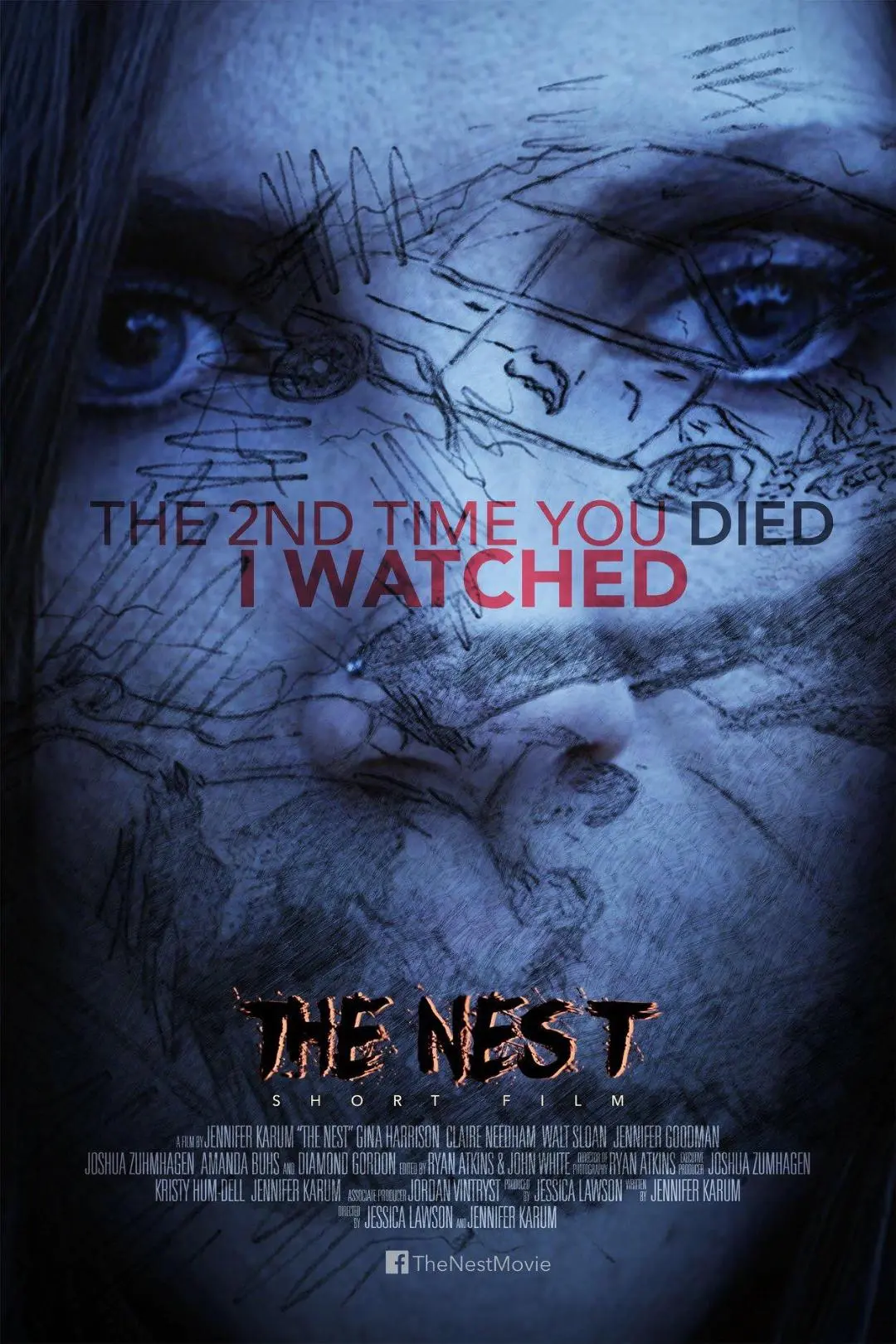 The Nest_peliplat