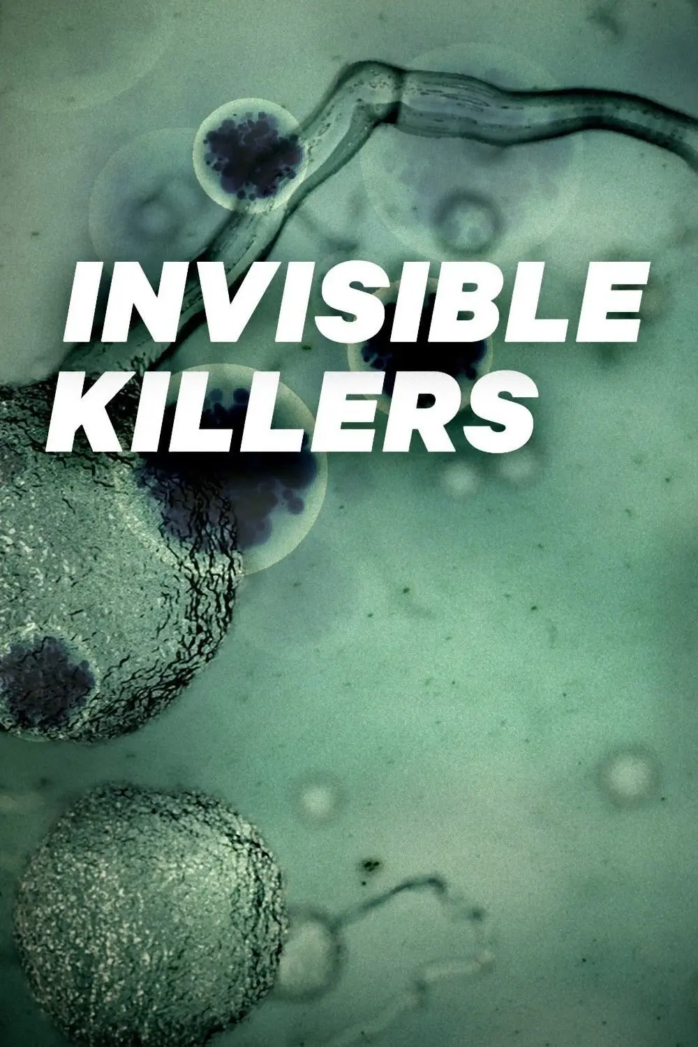 Invisible Killers_peliplat