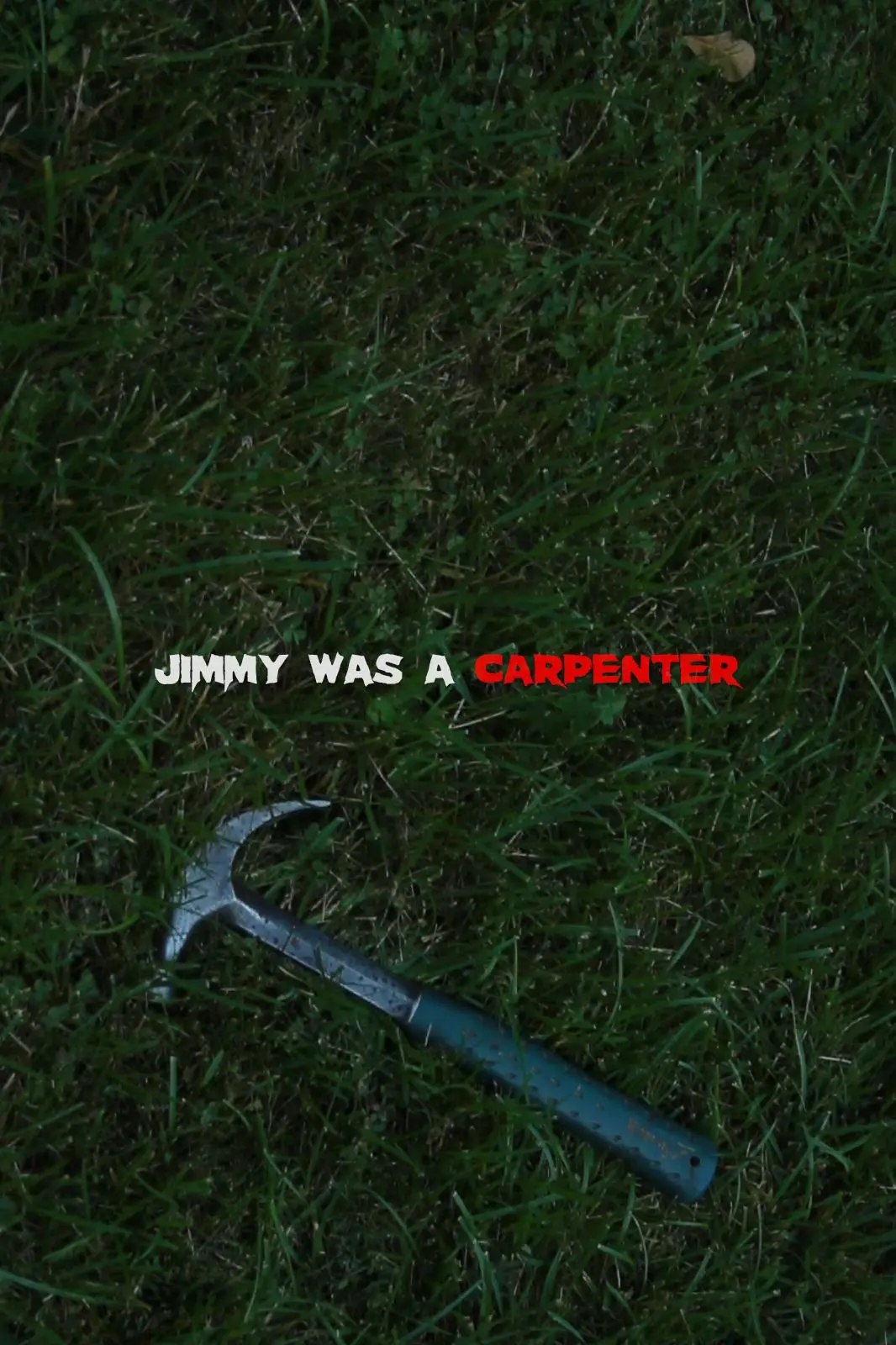 Jimmy Was a Carpenter_peliplat