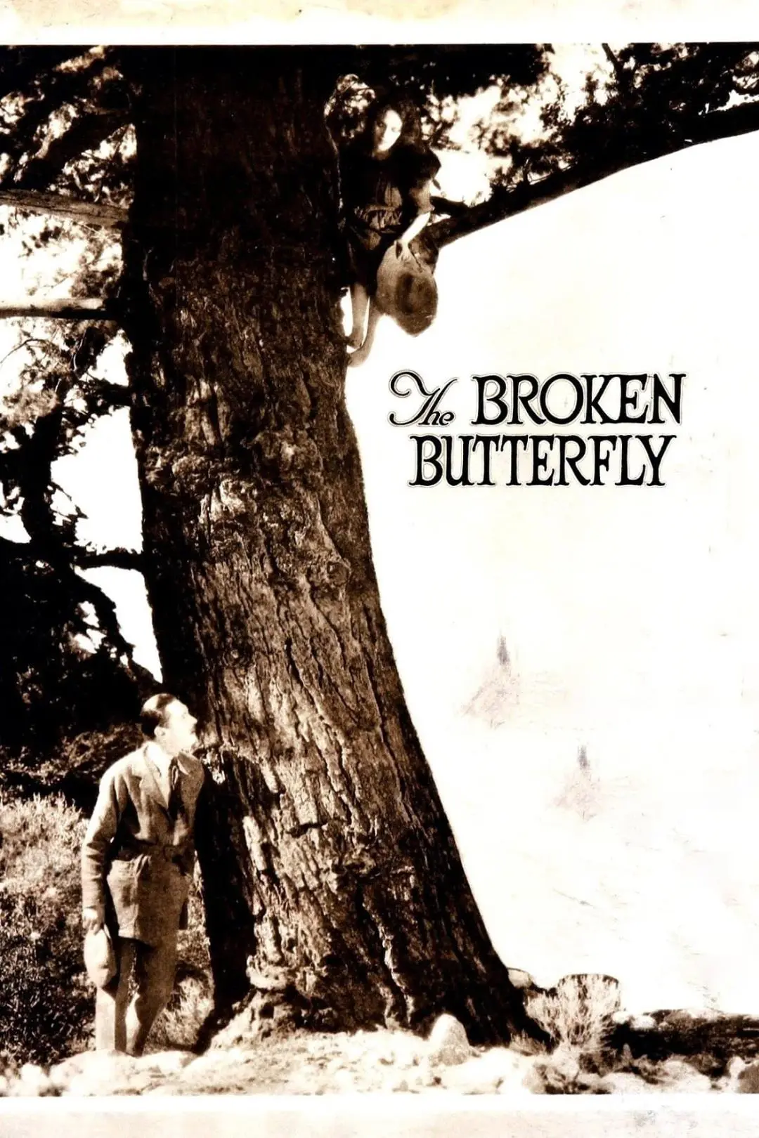 The Broken Butterfly_peliplat