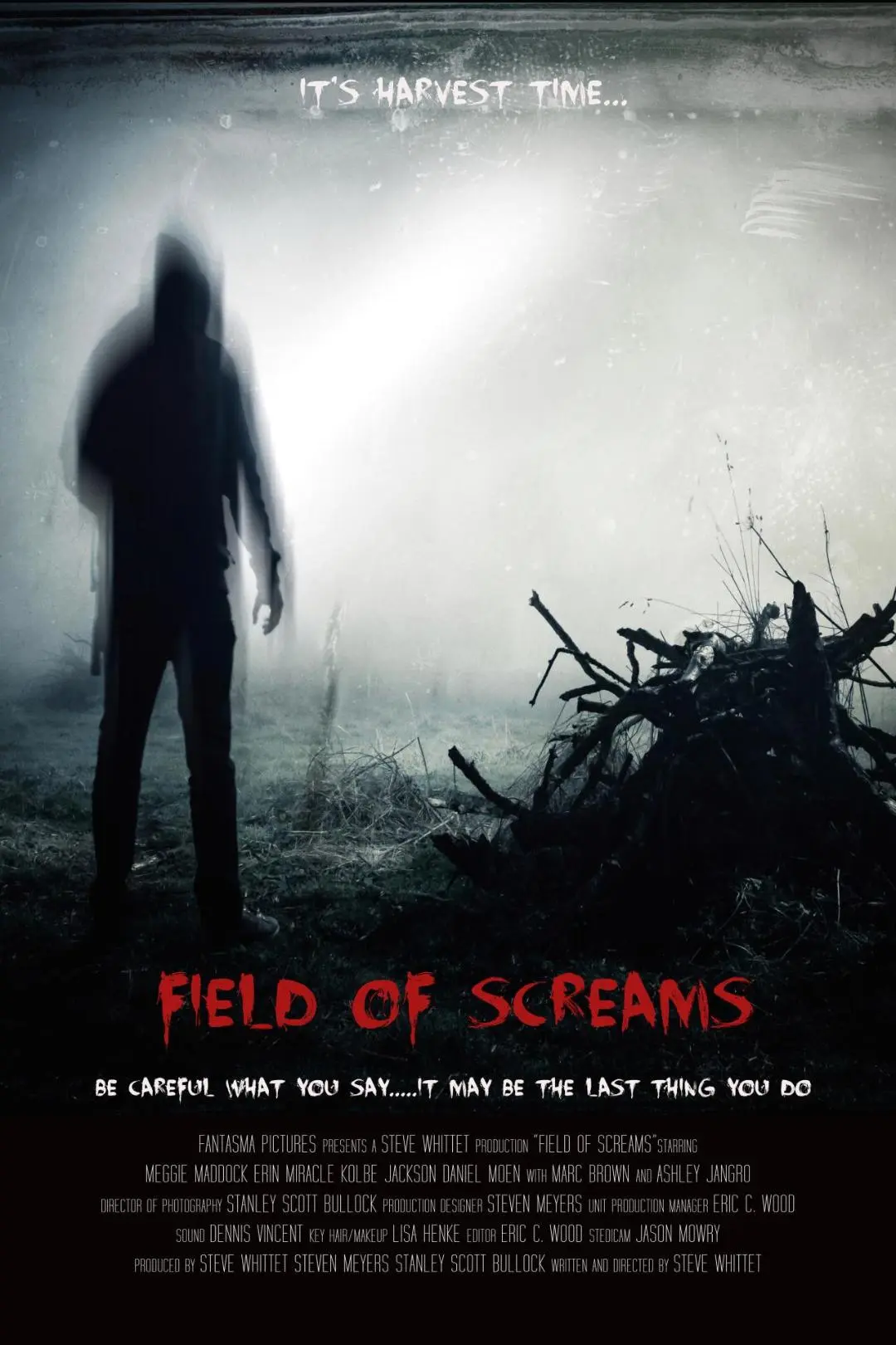 Field of Screams_peliplat