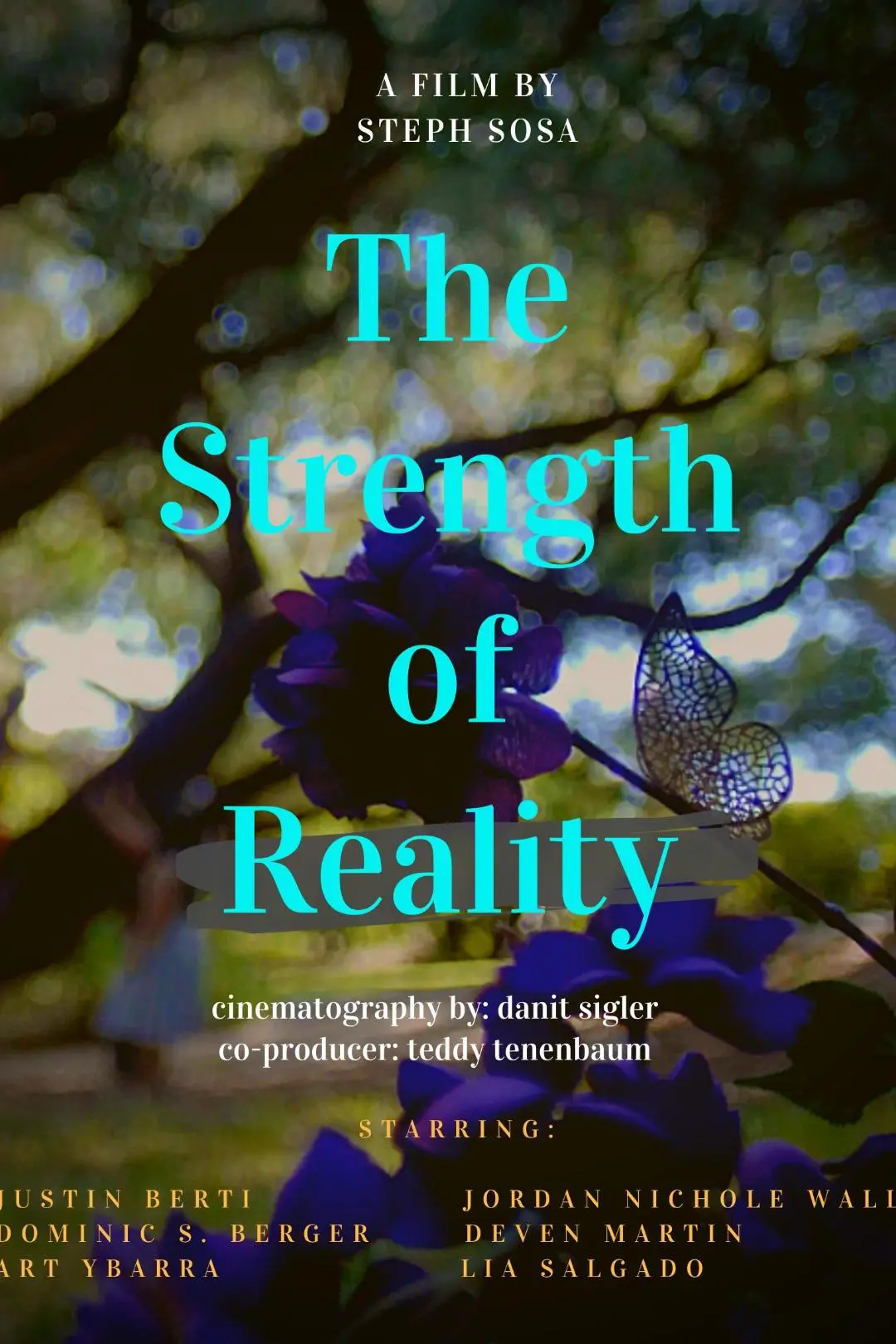 The Strength of Reality_peliplat