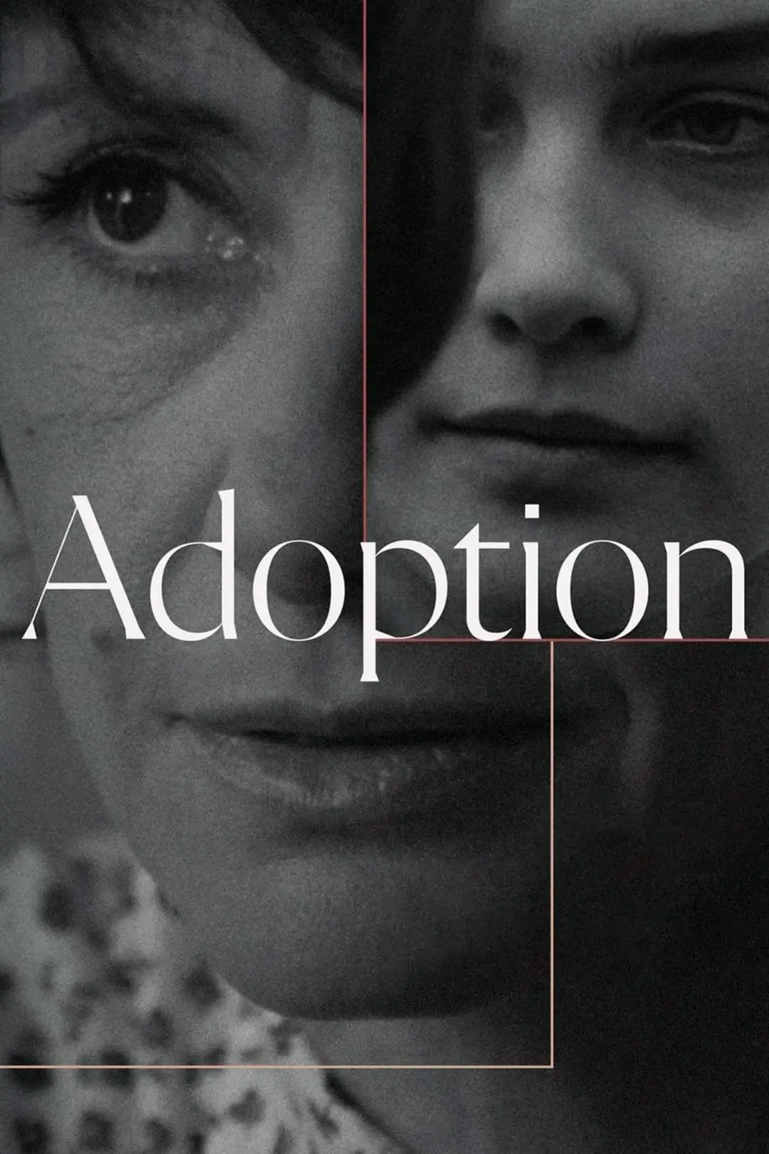 Adoption_peliplat