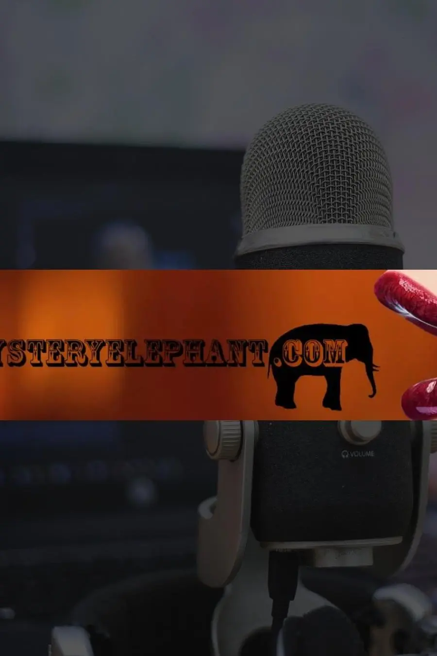 Mystery Elephant Radio_peliplat