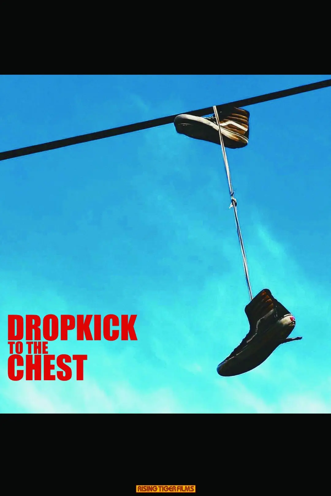 Dropkick to the Chest_peliplat