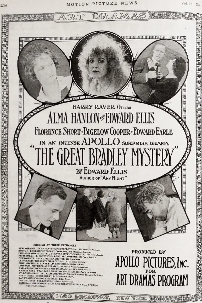 The Great Bradley Mystery_peliplat