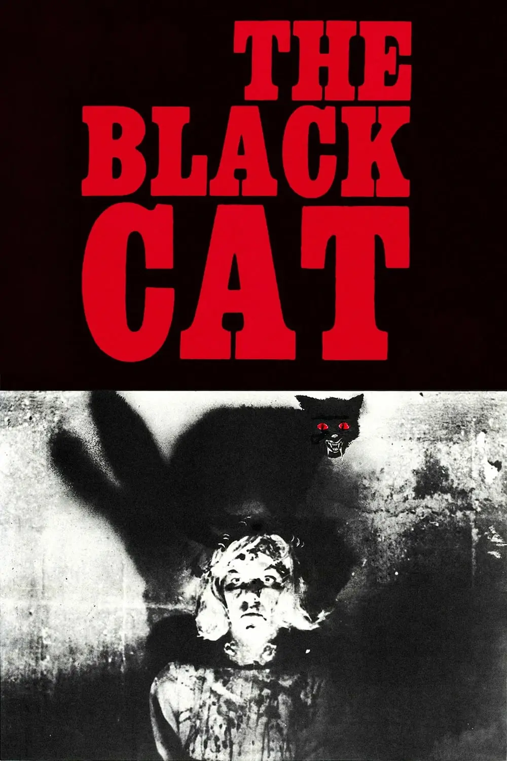 The Black Cat_peliplat
