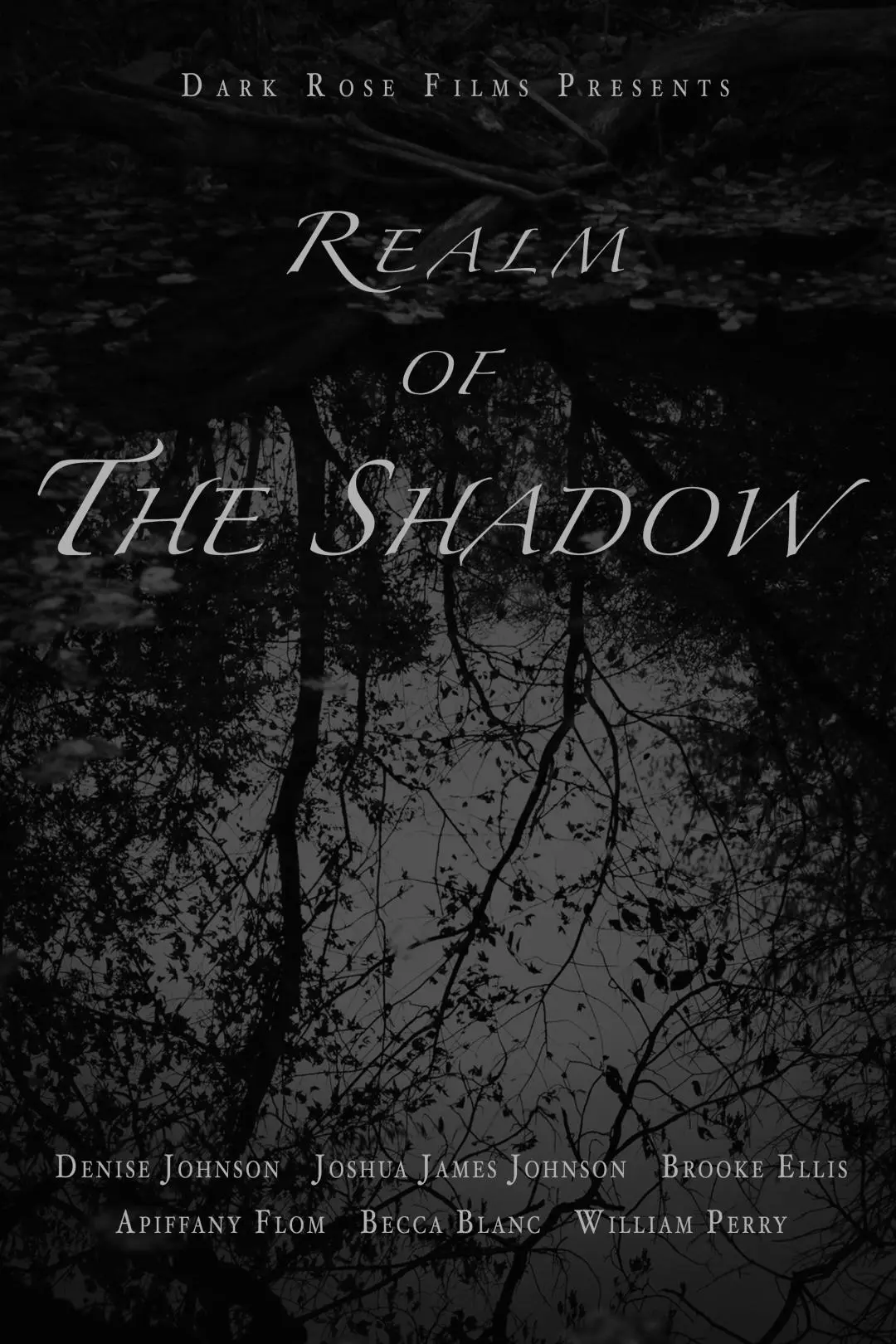 Realm of The Shadow_peliplat