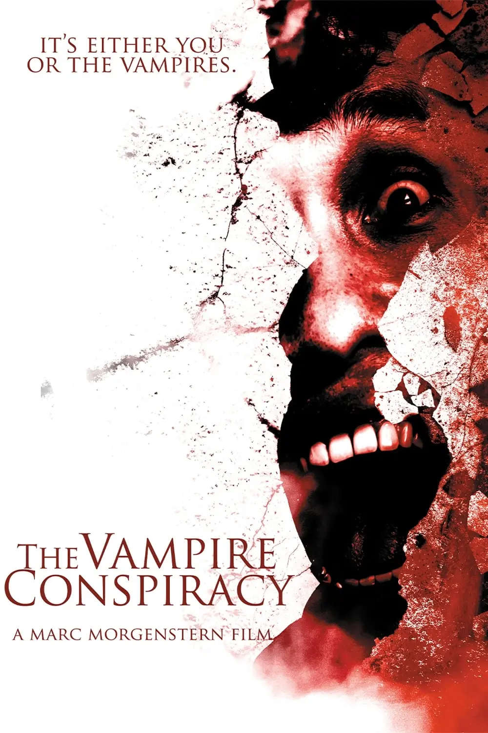 The Vampire Conspiracy_peliplat