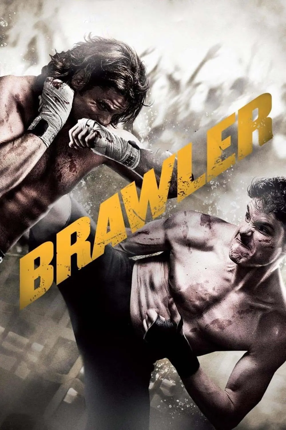 Brawler - Duelo de Sangue_peliplat