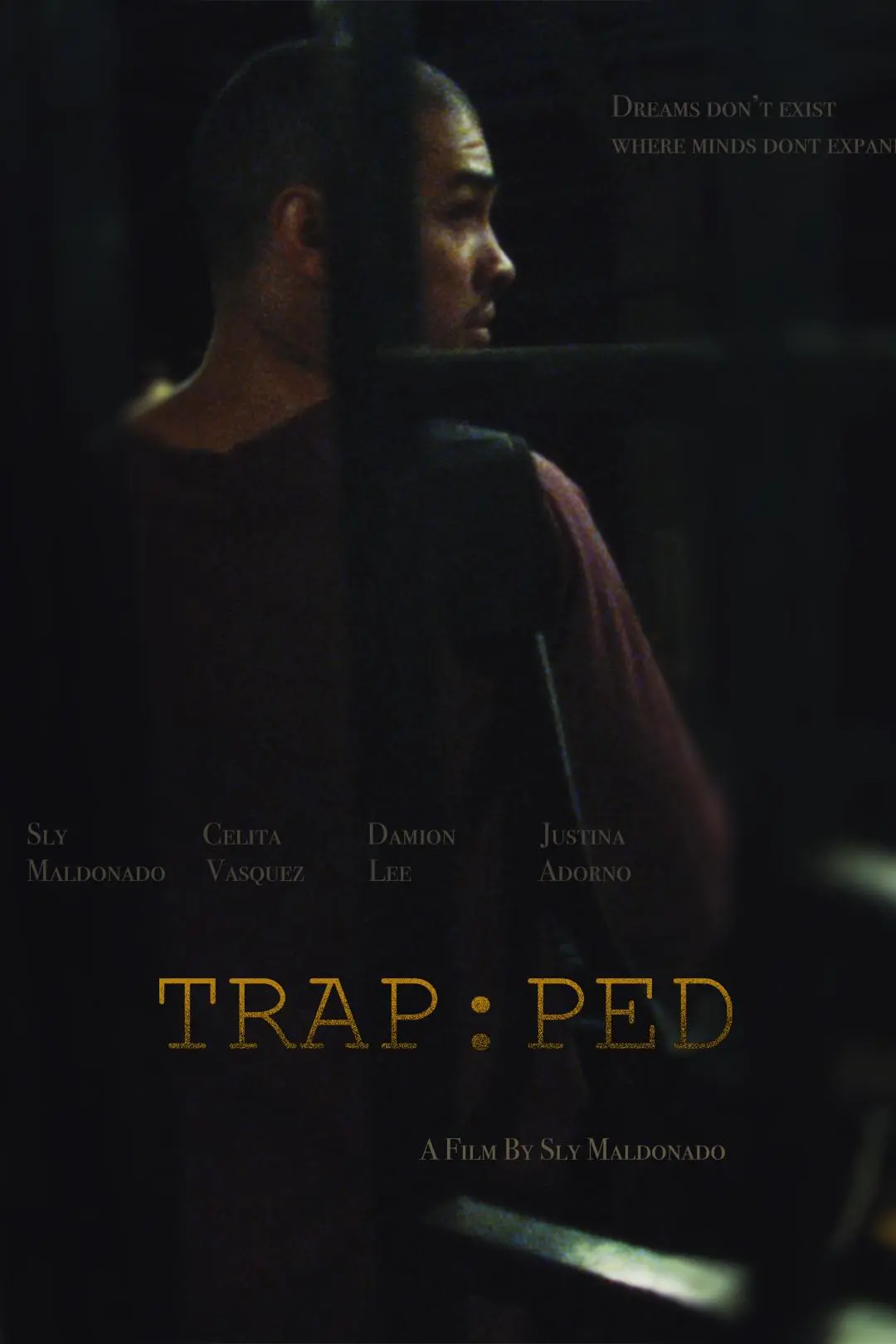 Trapped_peliplat