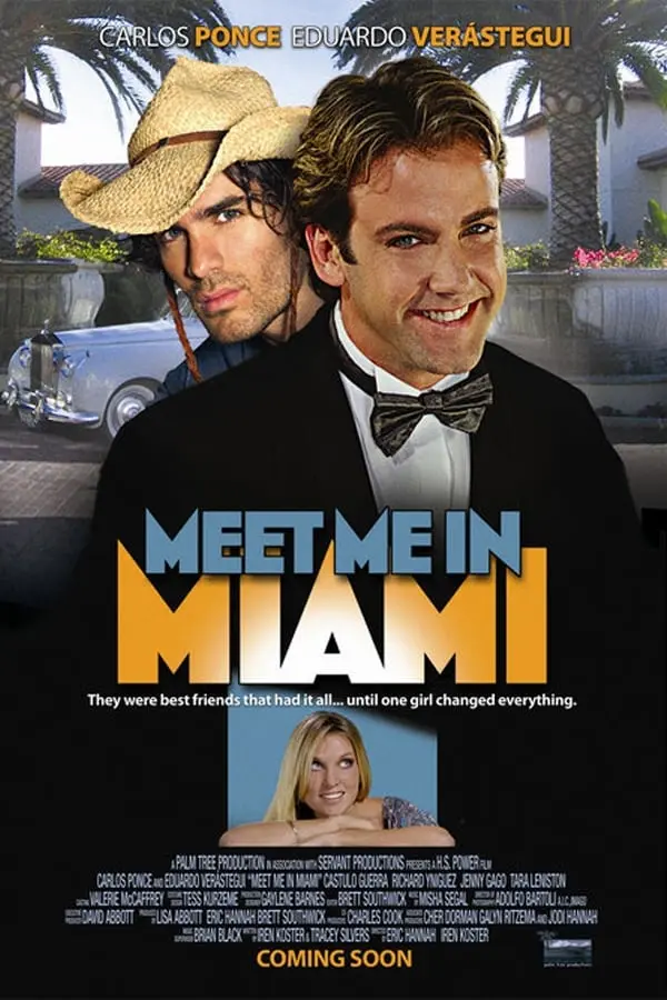 Meet Me in Miami_peliplat