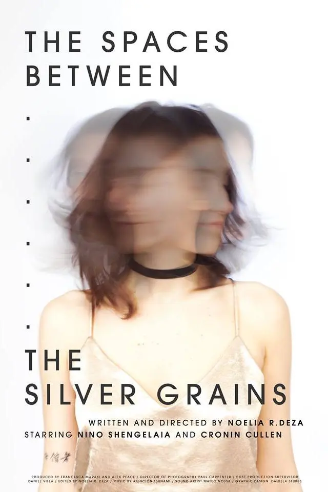 The Spaces Between the Silver Grains_peliplat