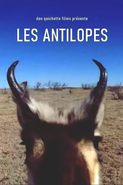 Les Antilopes_peliplat