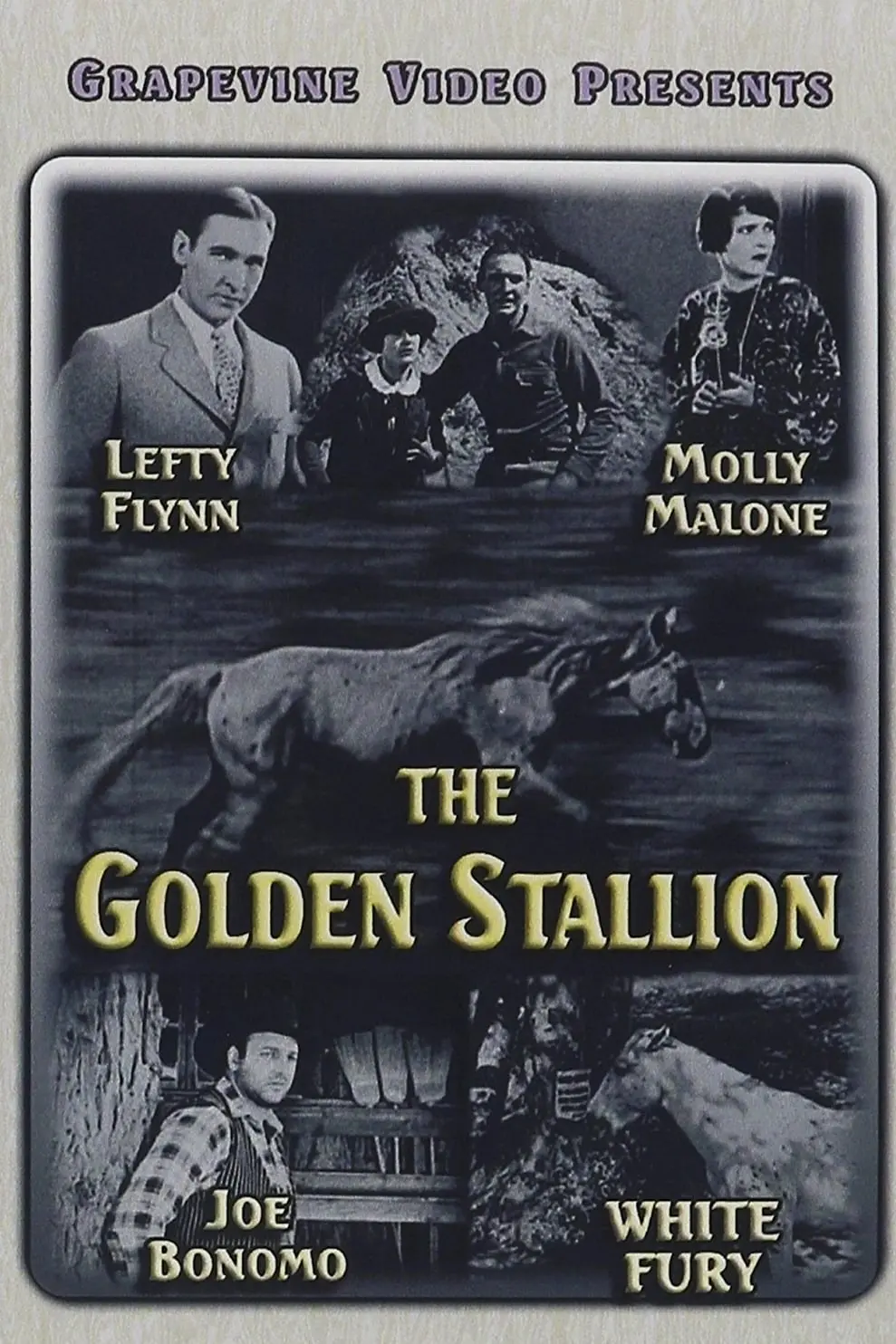 The Golden Stallion_peliplat