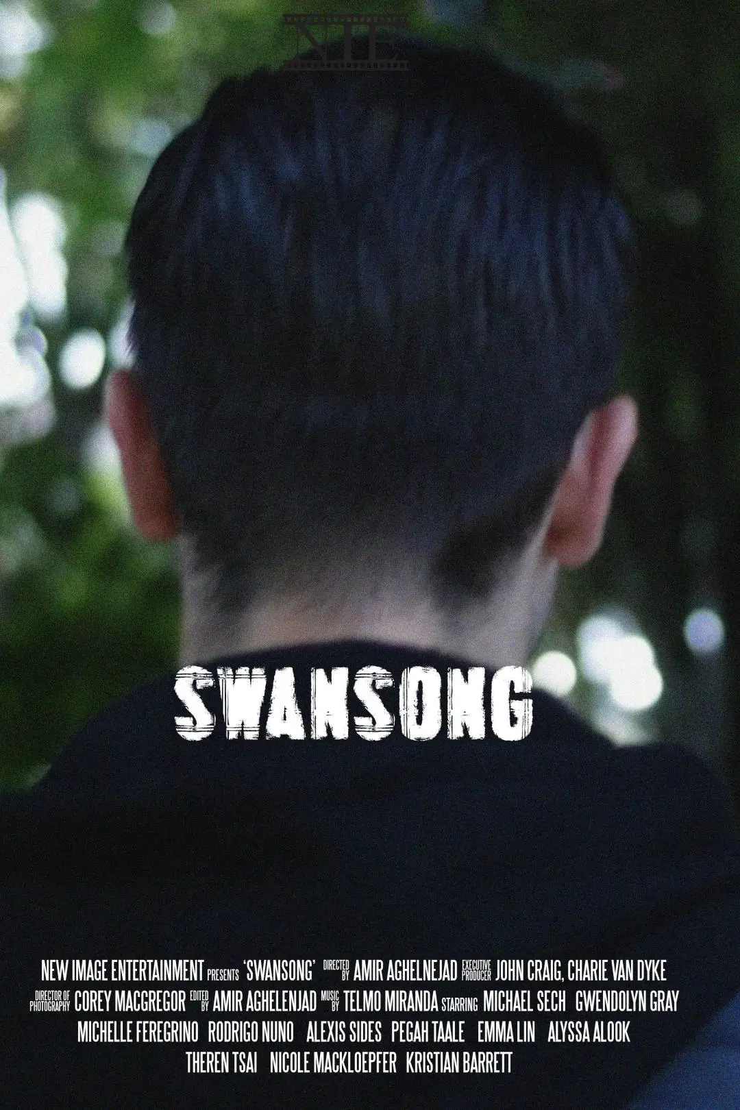 Swansong_peliplat