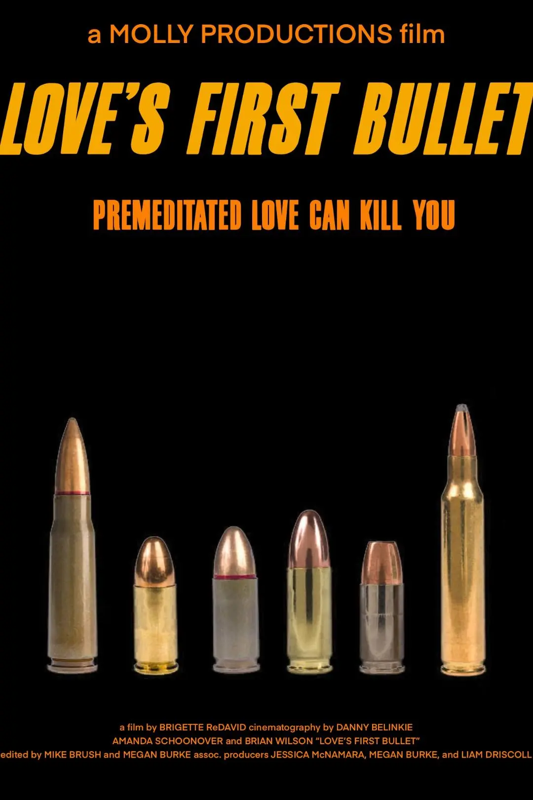 Love's First Bullet_peliplat
