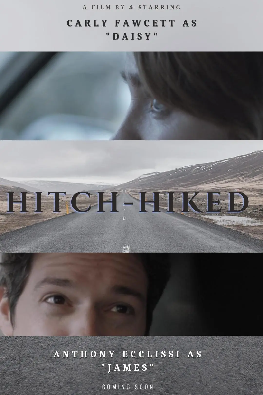 Hitch-Hiked_peliplat