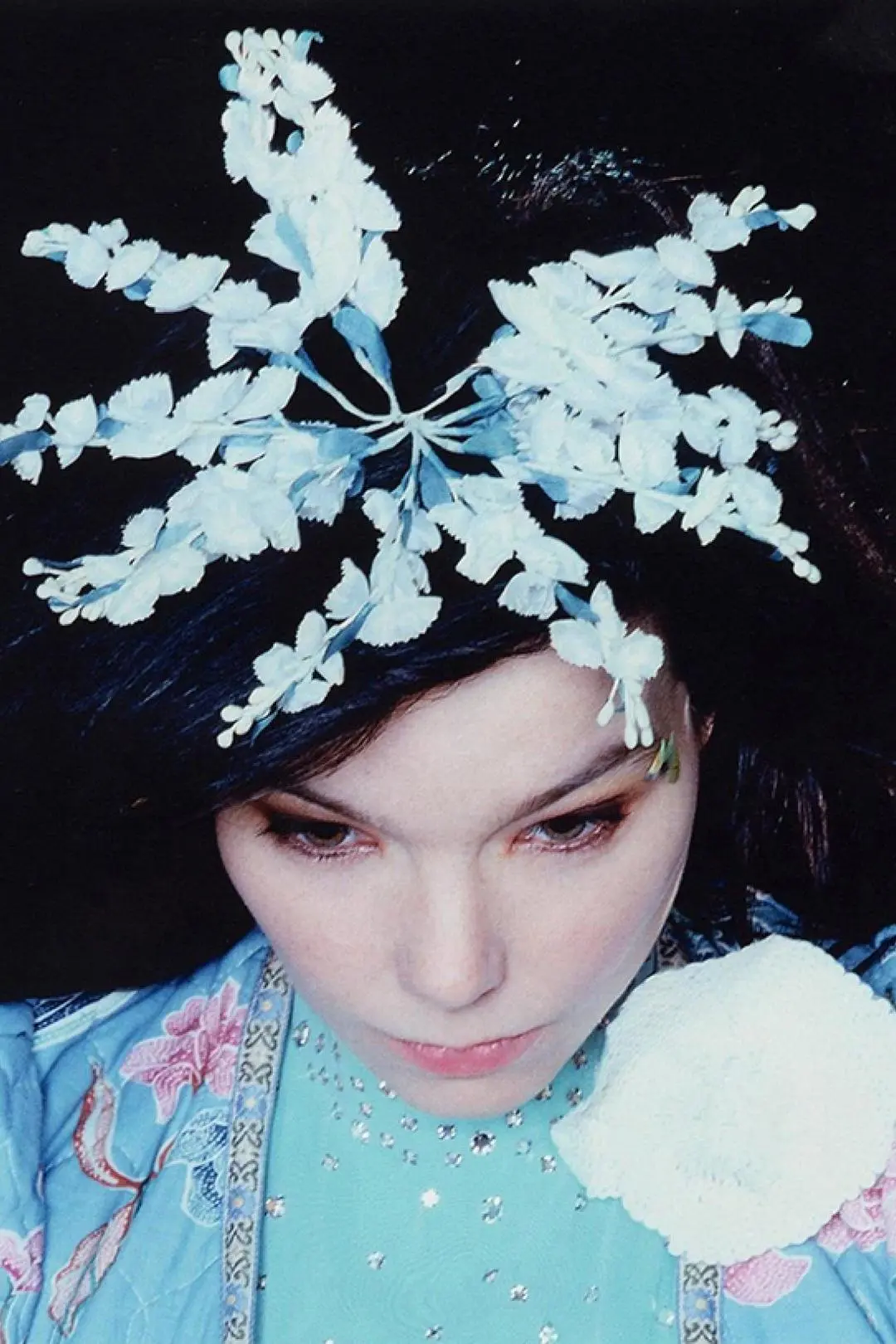 Björk: The Creative Universe of a Music Missionary_peliplat