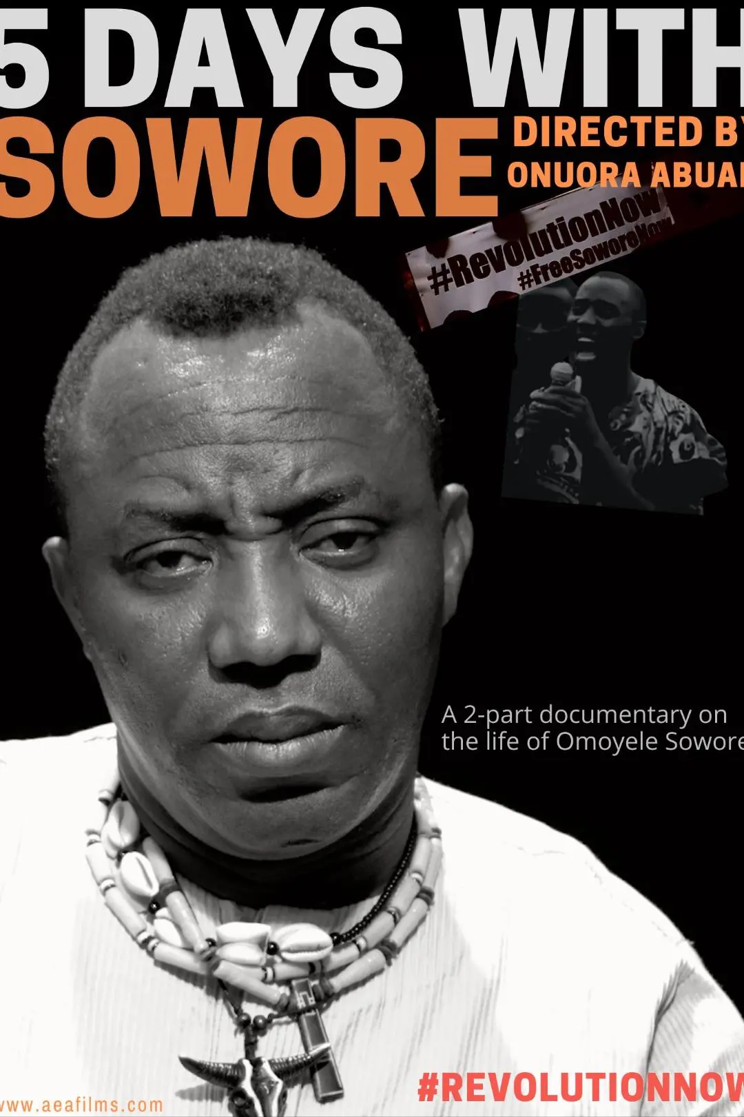 Revolution Now: 5 Days with Sowore_peliplat