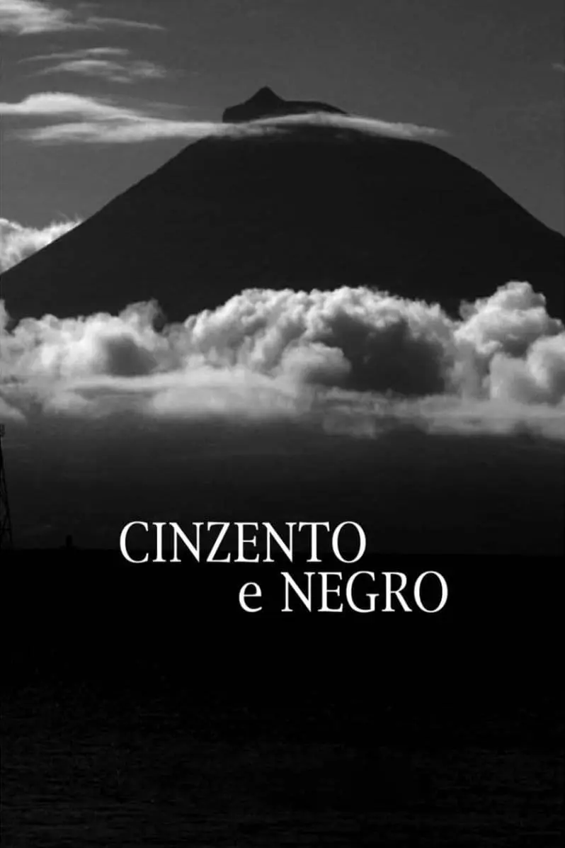 Cinzento e Negro_peliplat