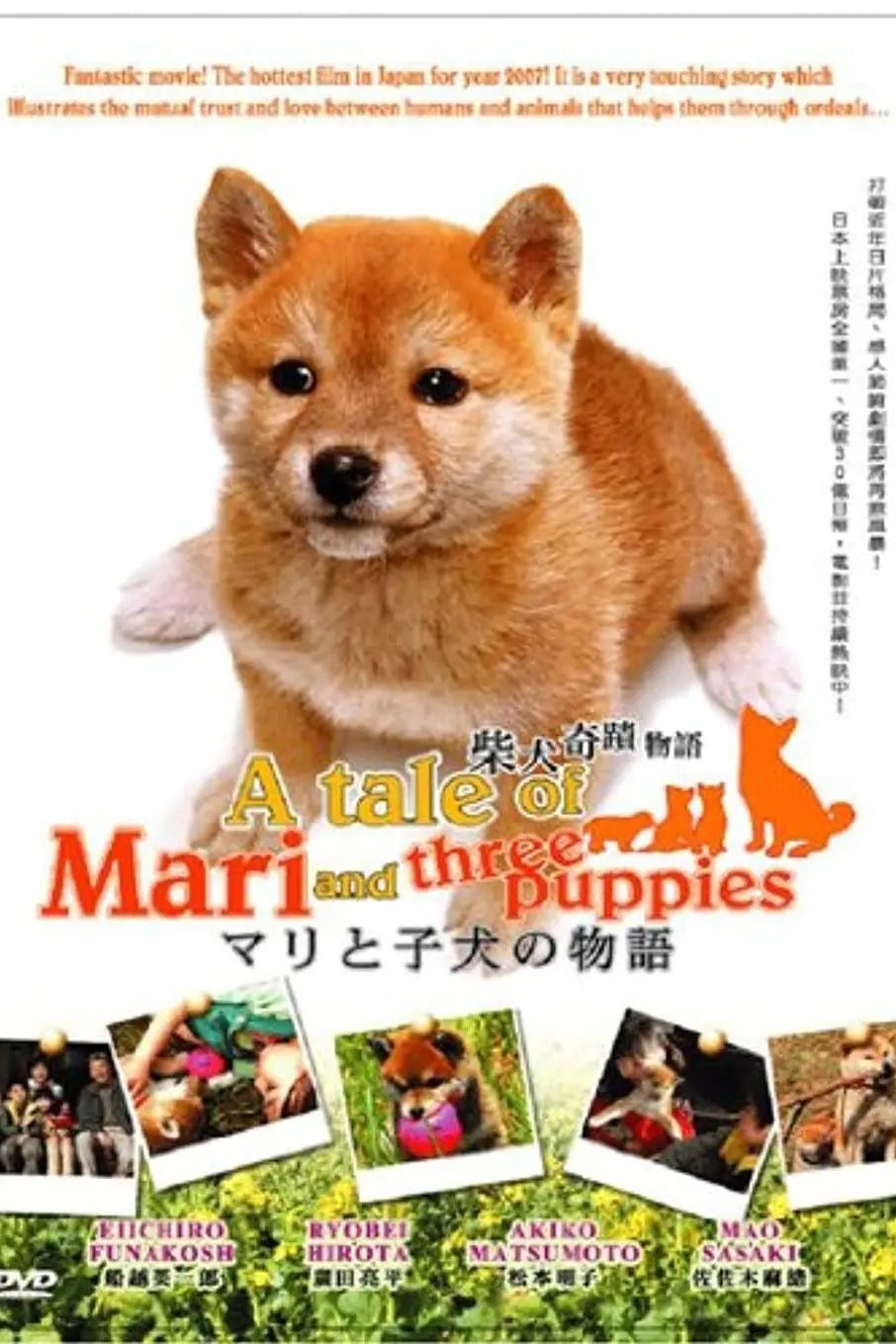 A Tale of Mari and Three Puppies_peliplat