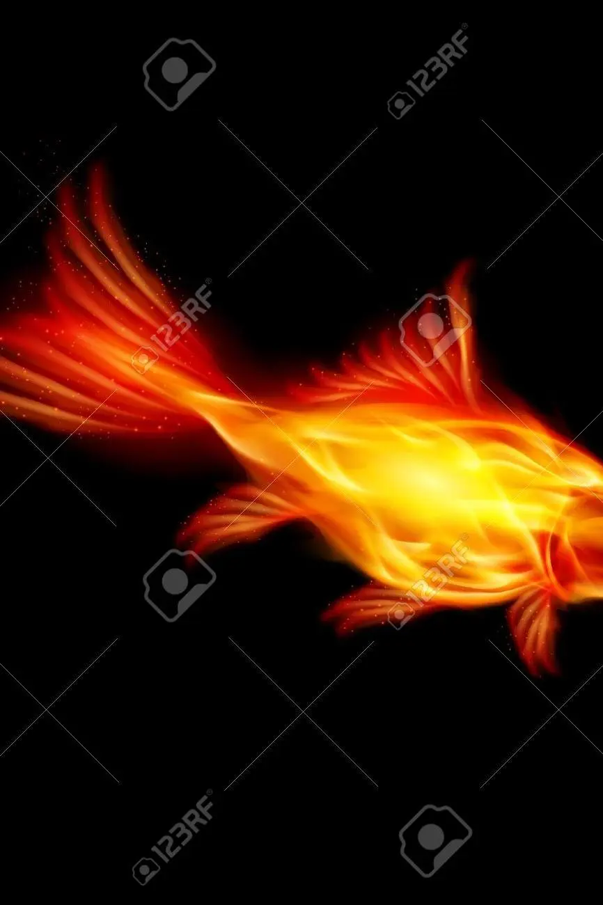 A Goldfish of the Flame_peliplat