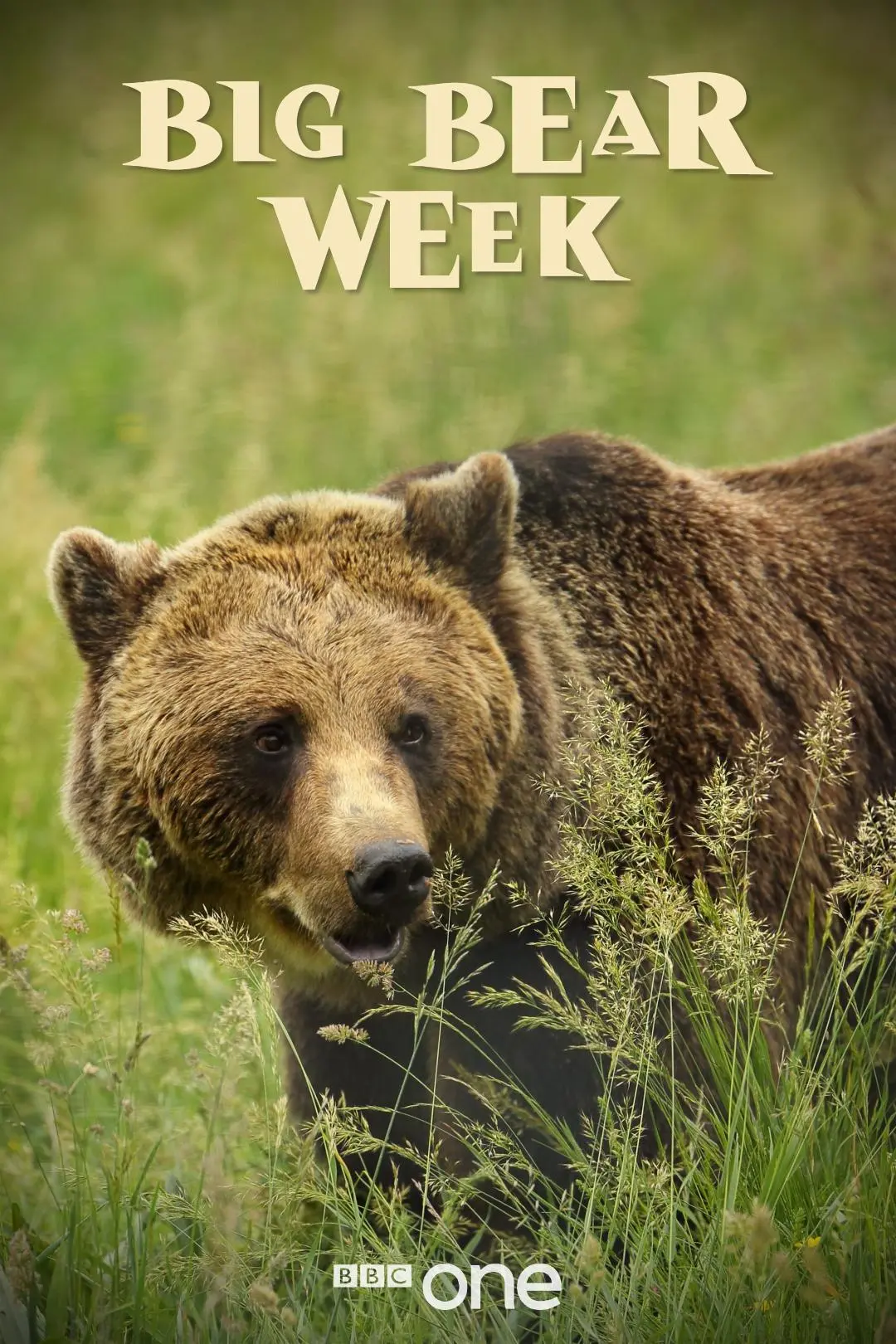 Big Bear Week_peliplat