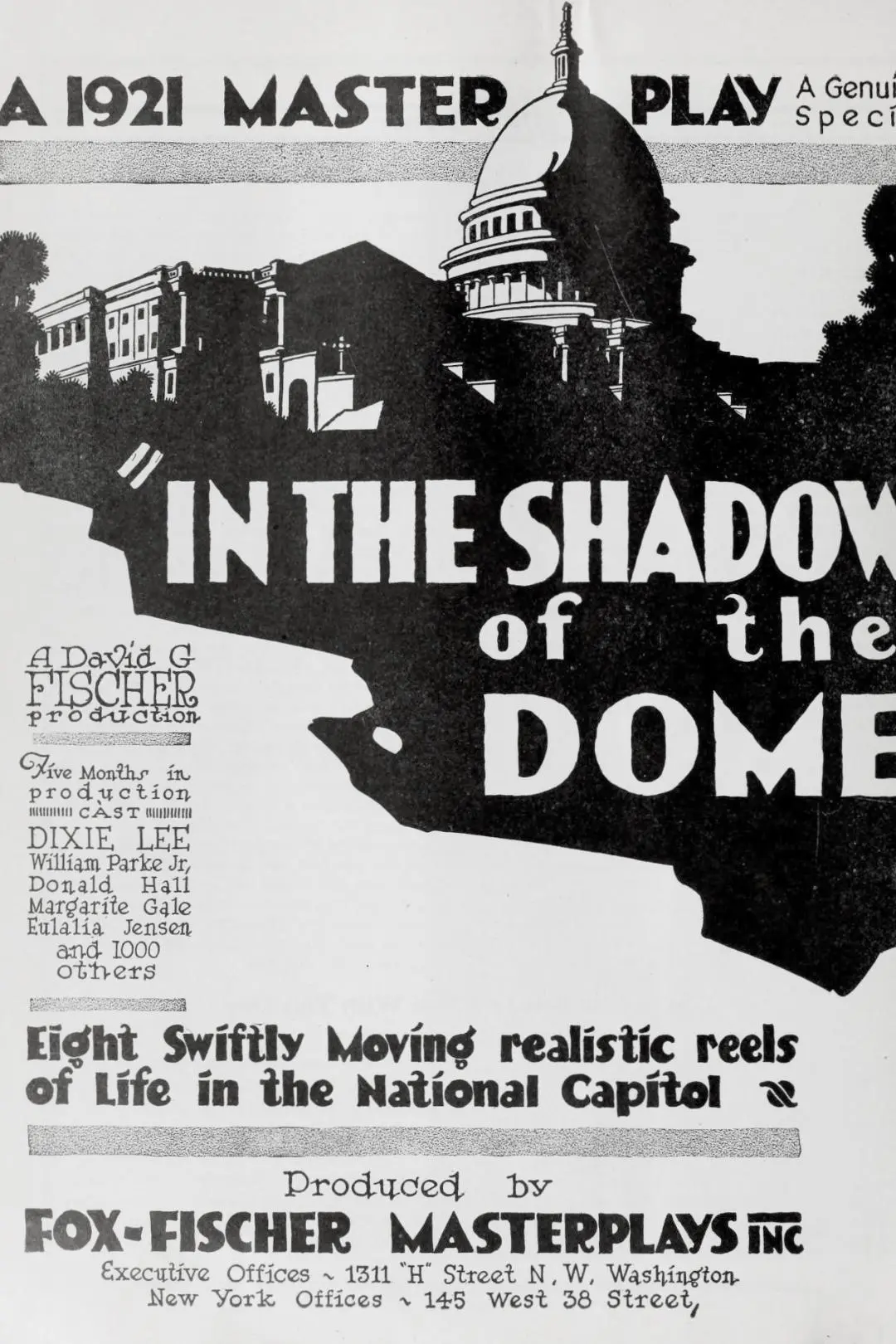 In the Shadow of the Dome_peliplat