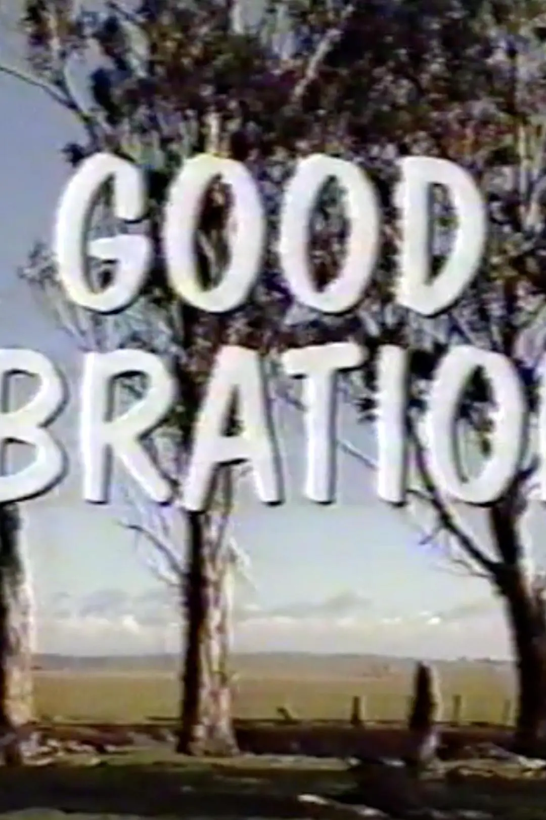 Good Vibrations_peliplat