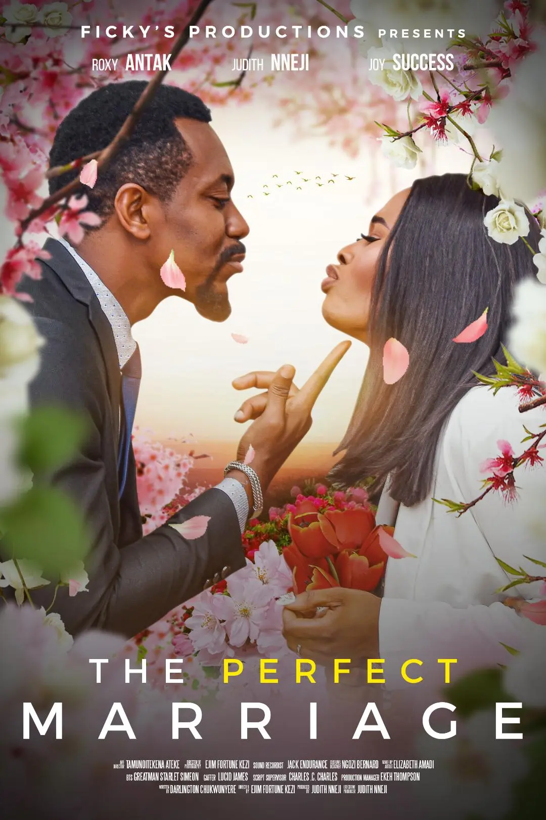 The Perfect Marriage_peliplat