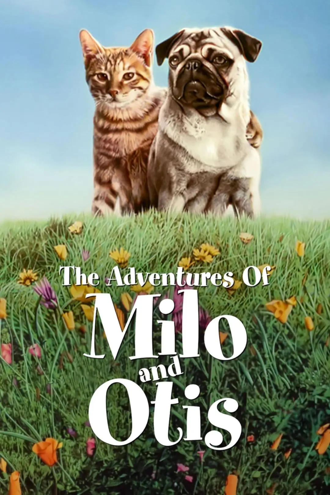 The Adventures of Milo and Otis_peliplat