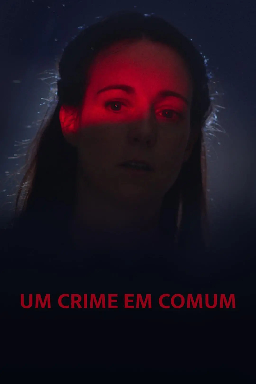 Um Crime em Comum_peliplat