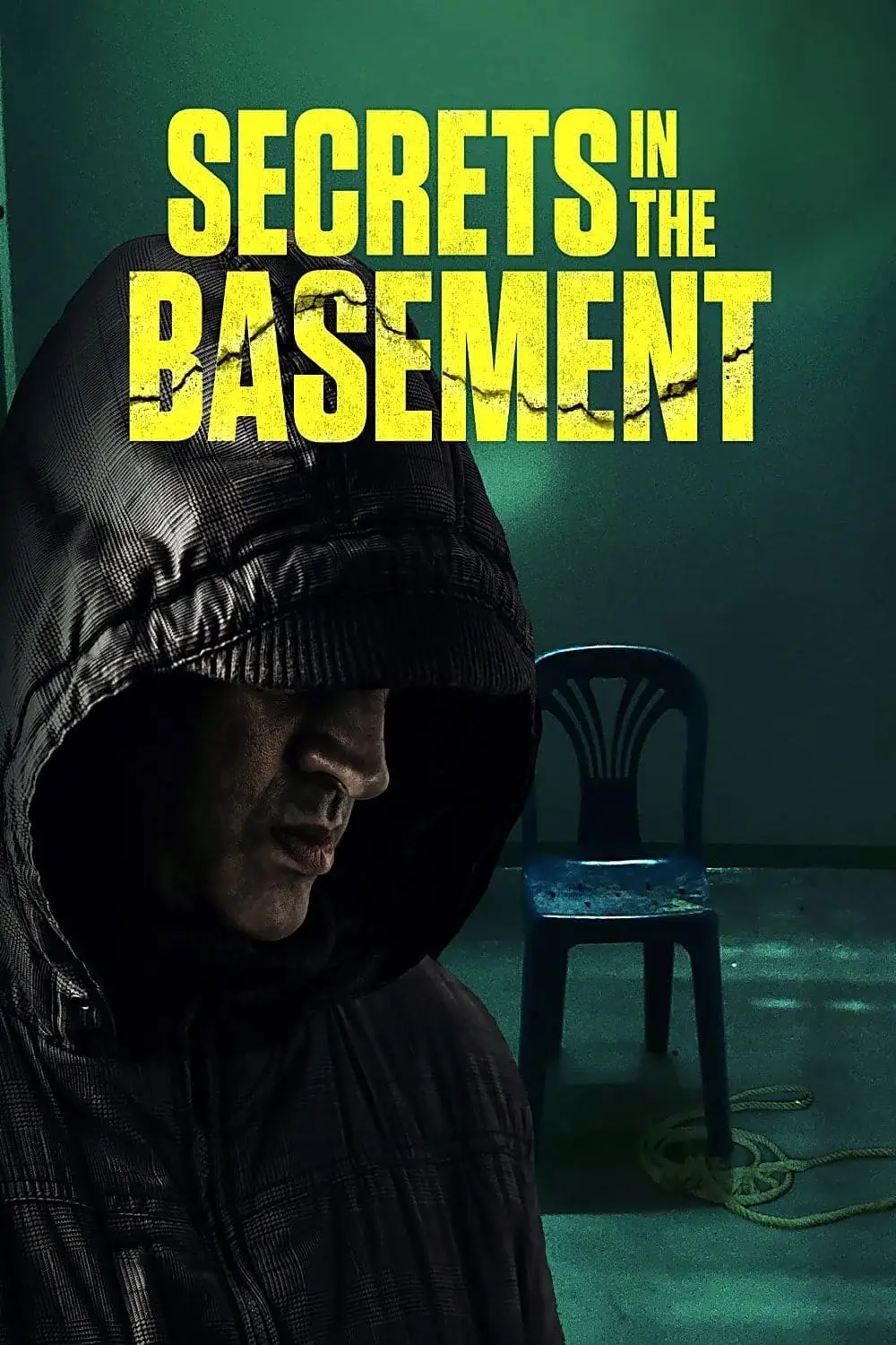 Secrets in the Basement_peliplat