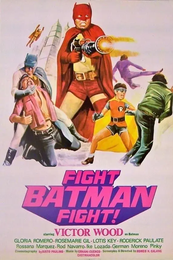 Fight! Batman, Fight!_peliplat