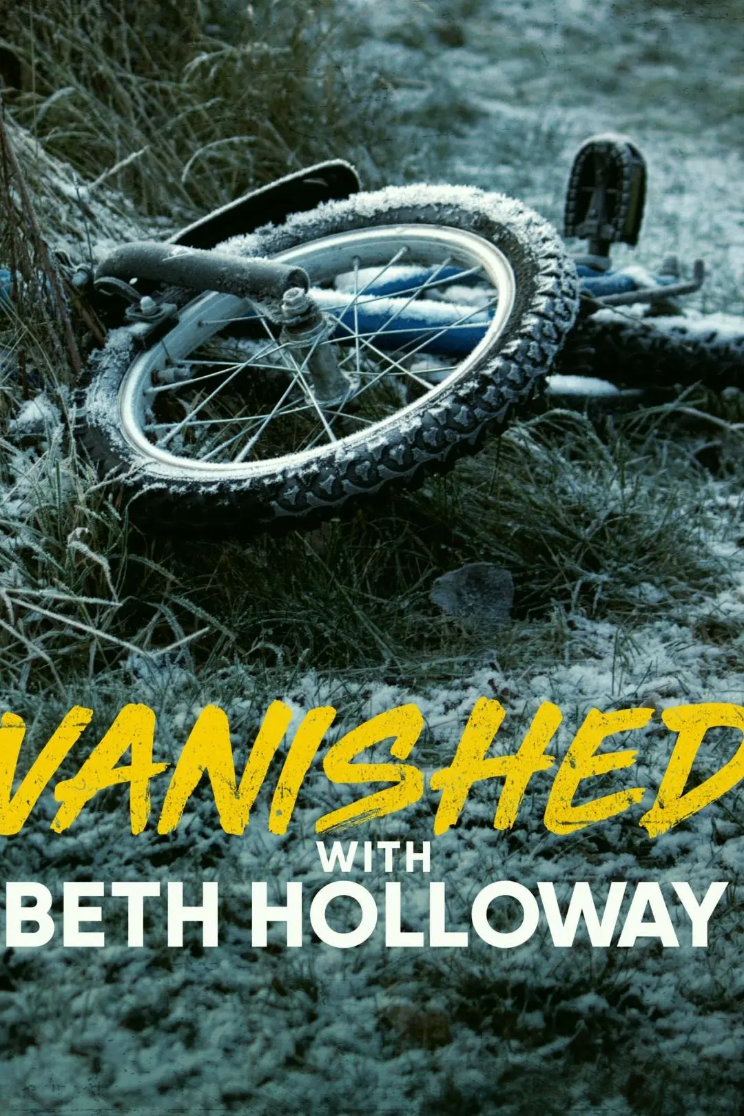 Vanished with Beth Holloway_peliplat