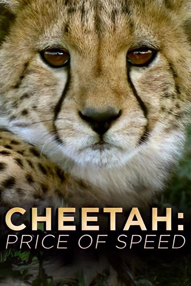 Cheetah: The Price of Speed_peliplat